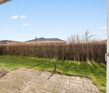 Attraktivt 1-plans rækkehus i Holluf Pile med egen have og parkering - Photo 3