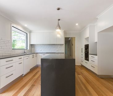 19 Discovery St, Red Hill ACT 2603 - House For Rent | Domain - Photo 3