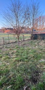 Location Appartement 2 pièces 44m² CONDE SUR L ESCAUT 59163 - Photo 3