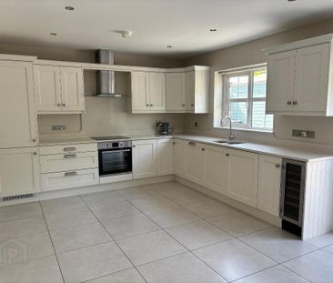 37 Limestone Meadow Crescent, Moira, BT67 0UU - Photo 6