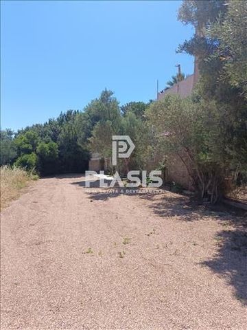 Studio/Γκαρσονιέρα για ενοικίαση Μαύρο Λιθάρι (Ανάβυσσος) - Photo 4