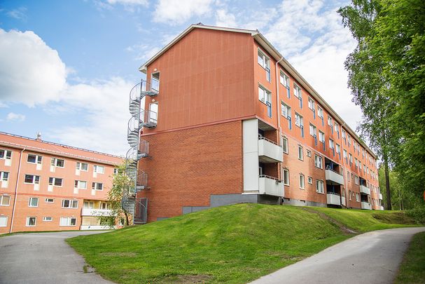 Ankarskatavägen 81 C, 94134, Piteå - Foto 1