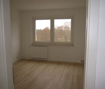 Platanenring 08-19, Wfl. 40,20 qm, ERSTBEZUG - moderne, sanierte 2-... - Foto 1