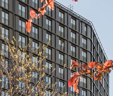 Smarte 1,5 Zimmer-Wohnung – Erstbezug in den DC Flats - zu mieten i... - Photo 1