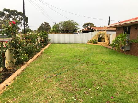 14 Hampden Street, 6430, South Kalgoorlie Wa - Photo 2