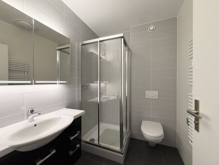 Appartement de 4 pièces avec terrasse à Vessy - Foto 5