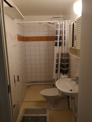 Bergslagsresan, Uppsala - Photo 1