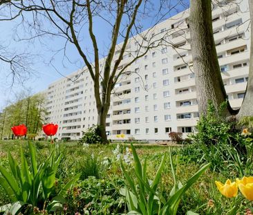 Charmante 2-Raumwohnung sucht liebenswerte Mieter - Photo 4