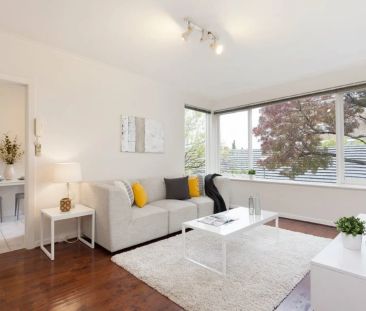 Light and Bright! - Photo 6