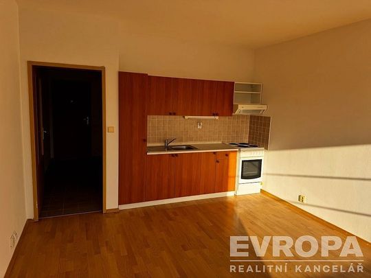 Pronájem bytu 1+kk 35 m² - Photo 1