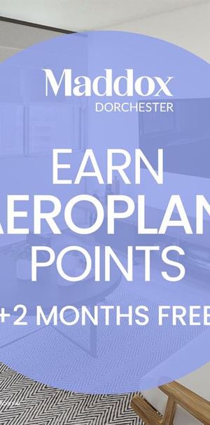 Tempête - 1160 Rue Saint Mathieu, Montréal - Photo 1