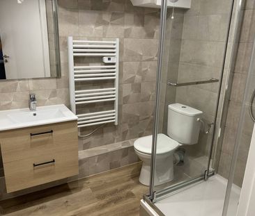 Location Appartement 1 pièce 20m² STRASBOURG 67000 - Photo 3