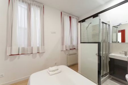 Calle Isabel La Católica, Madrid, Community of Madrid 28013 - Photo 5