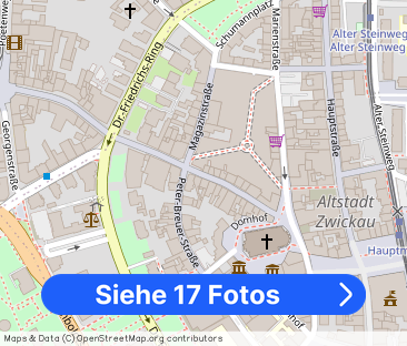 3-Zimmer-Altbauwohnung mit EINBAUKÜCHE mitten in der Zwickauer CITY - Foto 1