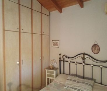 Μονοκατοικία για ενοικίαση Βασιλικό (Ληλάντιο) - Photo 5