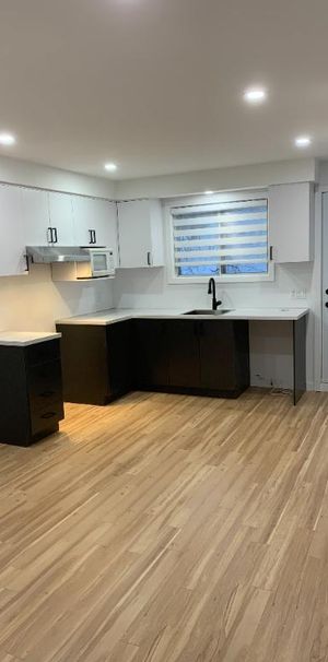 St-Jérôme 4 1/2 fraîchement rénové à neuf pour gens de 55 ans + - Photo 1