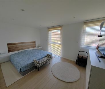 Location Appartement 176.53 M² HEGENHEIM 2 140 € - Photo 4
