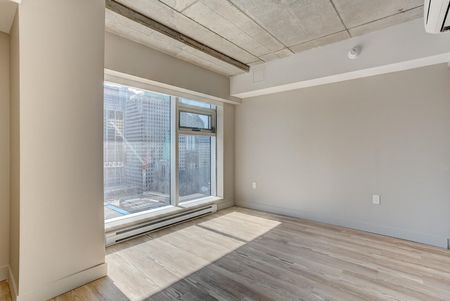 1020 Rue de Bleury, Ville-Marie, QC - Photo 5