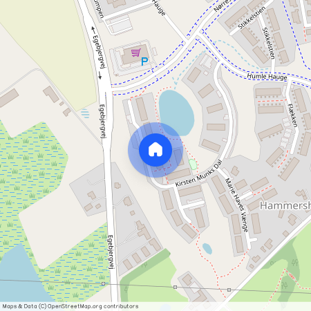 Kirsten Munks Dal 36, 8700, Horsens