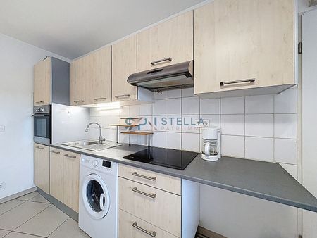 Location Appartement 2 pièces 41m² SARROLA CARCOPINO 20167 - Photo 4