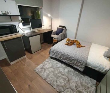 Premier Plus Studio - Photo 5