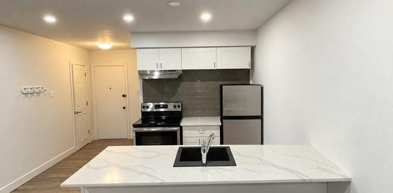 1 CH - 1 SDB - Montréal - $1,549 /mo - Photo 2