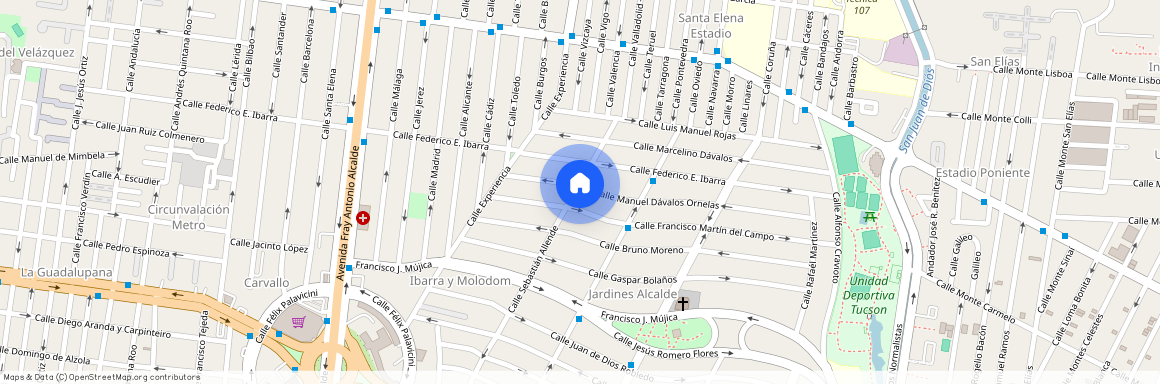Calle Sebastián Allende, Ibarra y Molodom, Guadalajara, Región Centro, Jalisco, 44298, México