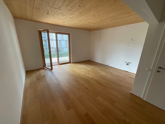 Wunderschöne neuwertige Wohnung - Foto 1