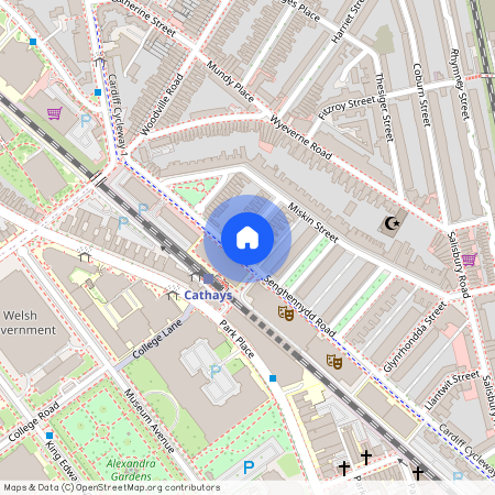 Llandough Street, CF24 4AW, Cathays