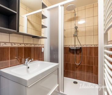 Pronájem bytuRenting an apartment 2+kk, 45 m2 - Fotografie 4