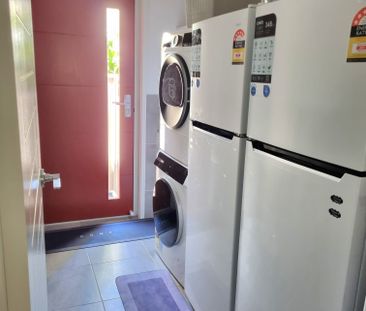 Springfield - Photo 5