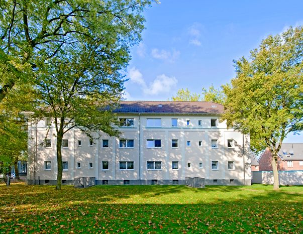 Demnächst frei! 2-Zimmer-Wohnung in Marl Brassert - Foto 1