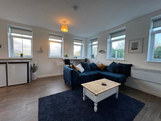 1 bedroom apartment to rent - Photo 1