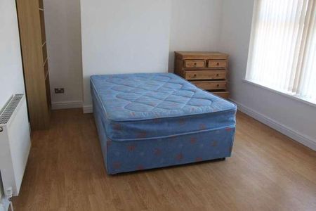 Alfred Street, Roath, Cardiff, CF24 - Photo 3