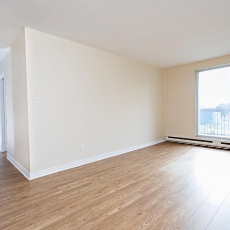 Jardin du carrefour | Appartement moderne 4 1/2 à louer | 2 bedrooms for rent | Laval - Photo 4