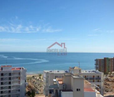 Elche / Elx - Photo 1