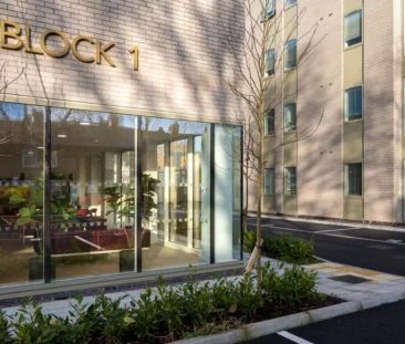 Standard Studio - Photo 6