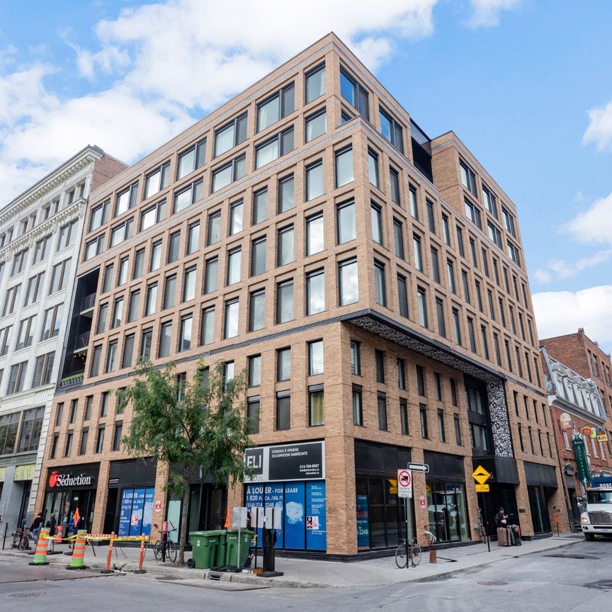 1406 Rue Ste Élisabeth, Montréal (Ville-Marie), QC H2C - Photo 1