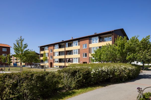Långarödsvägen, Höganäs - Photo 1