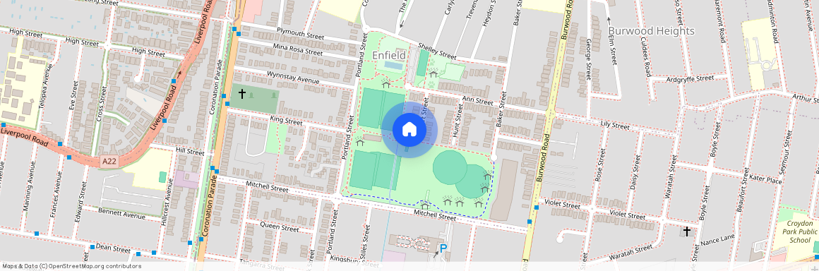 15 Short Street, Enfield NSW 2136