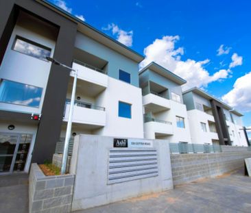 Large courtyard! - Photo 5