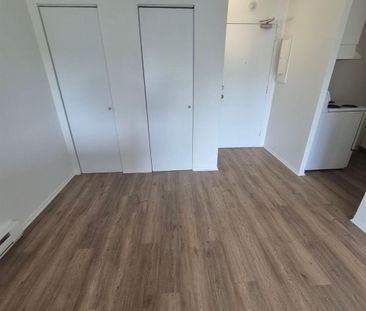 3 CH - 1 SDB - Gatineau - $1,849 /mo - Photo 3