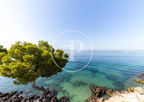 Flat for rent with Terrace in Port d’Alcúdia - Platja d'Alcúdia (Alcúdia)