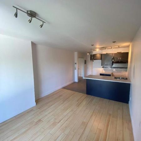 1 CH - 1 SDB - Montréal - $1,195 /mo - Photo 4