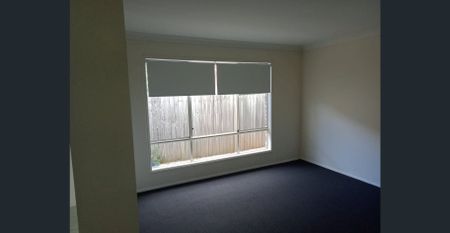 BRIDGEMAN DOWNS MUST SEE 4 BEDROOM LOWSET HOME - Photo 4