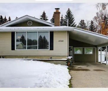 Two bedroom basement suite for rent in Brentwood. | 5348 Brisebois ... - Photo 1