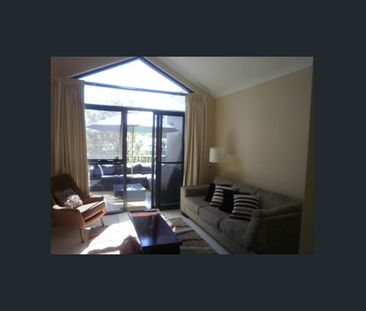 ABSOLUTE DELIGHT - Photo 2