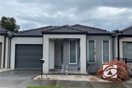 LIVING THE EASY LIFE! - Photo 3