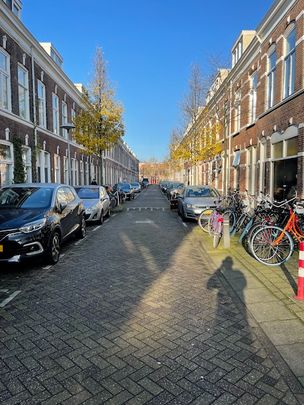 Sumatrastraat in Utrecht (3531 PD) - Photo 1