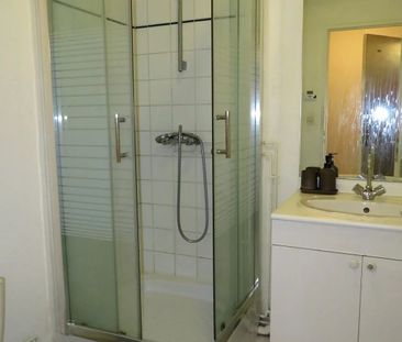 Location Appartement 1 pièce 24m² ST ORENS DE GAMEVILLE 31650 - Photo 5